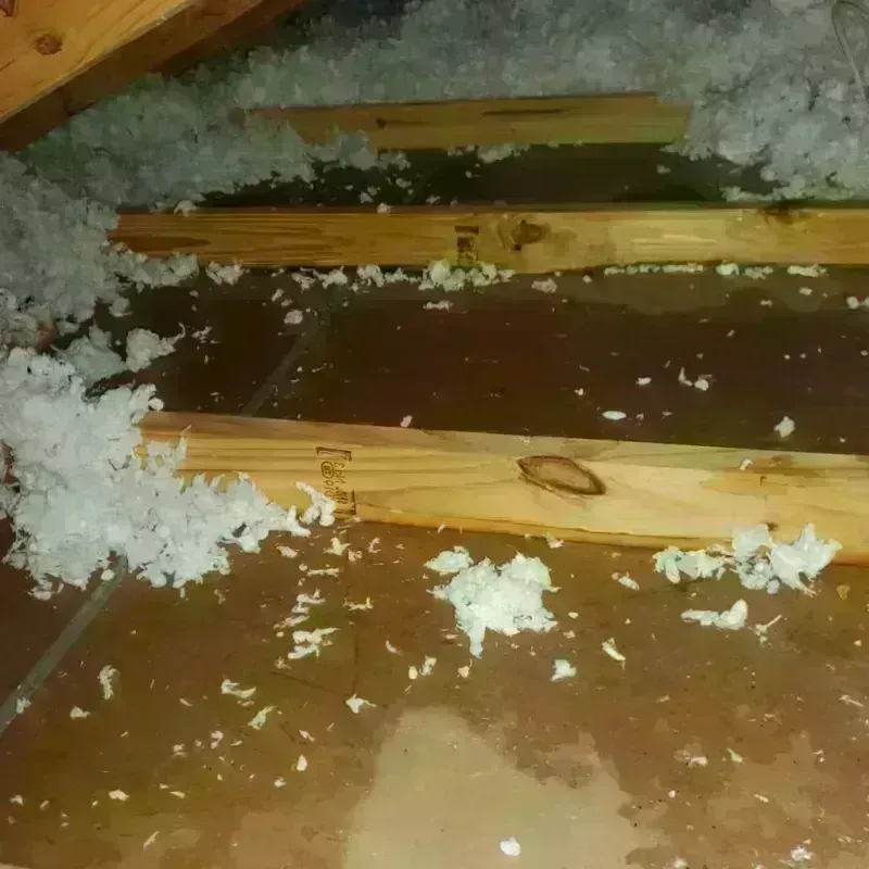 Attic Water Damage in Lapeer, MI